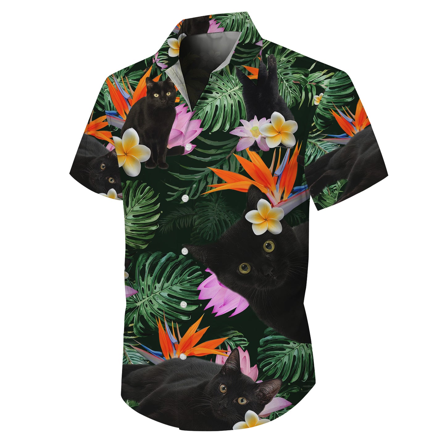 Black Cat Tropical Flowers Bird of Paradise Hawaiian Shirt for Men & Women Aloha